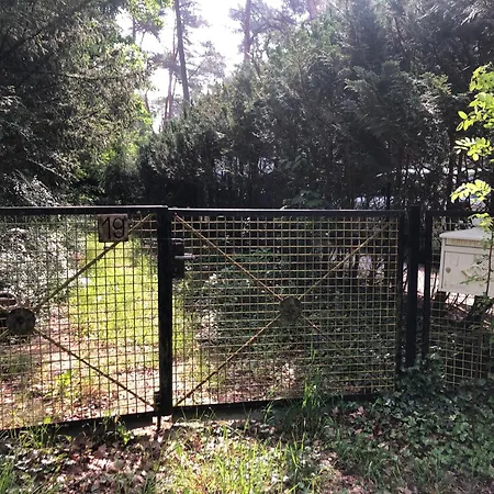 Holiday home Haus Im Grunen Wildpark Schwielowsee